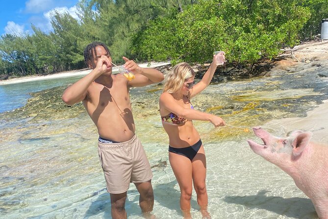 Self Drive Speedboat and Swim with the Pigs - What the crew does well