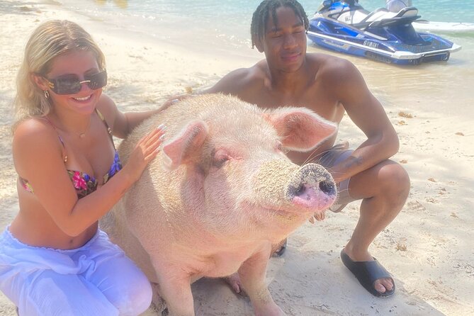 Self Drive Speedboat and Swim with the Pigs - Is $130 a fair price?