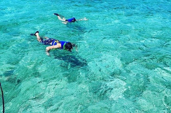Small-Group Snorkeling Experience at Sea Garden - Leaving Nassau Harbor by boat