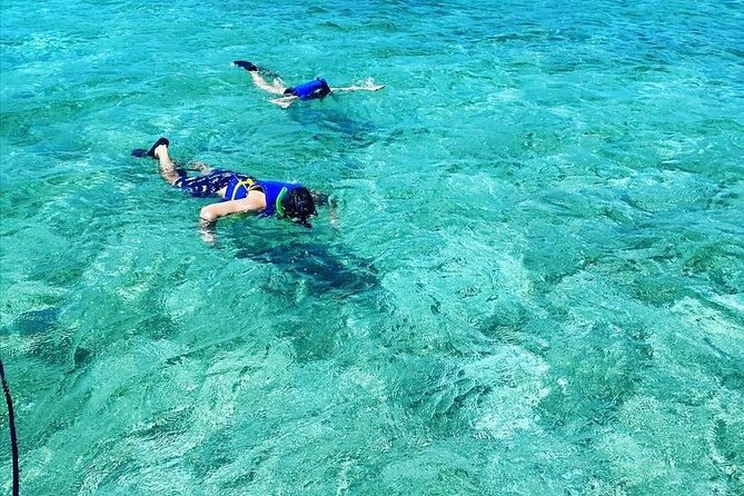 Small-Group Snorkeling Experience at Sea Garden - The snorkeling time is the real measure of value