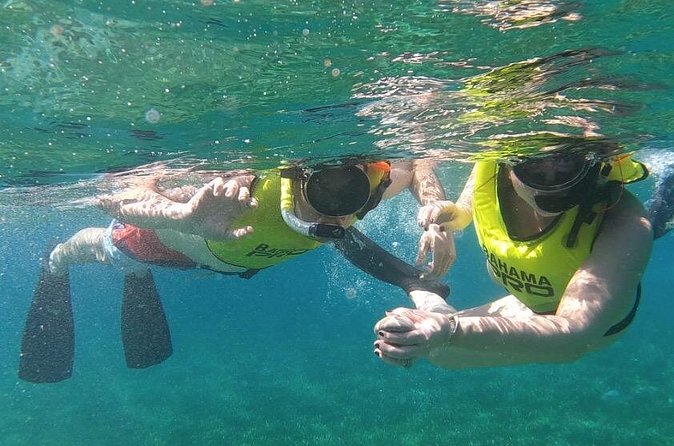 Small-Group Snorkeling Experience at Sea Garden - Is $128.21 a fair price?