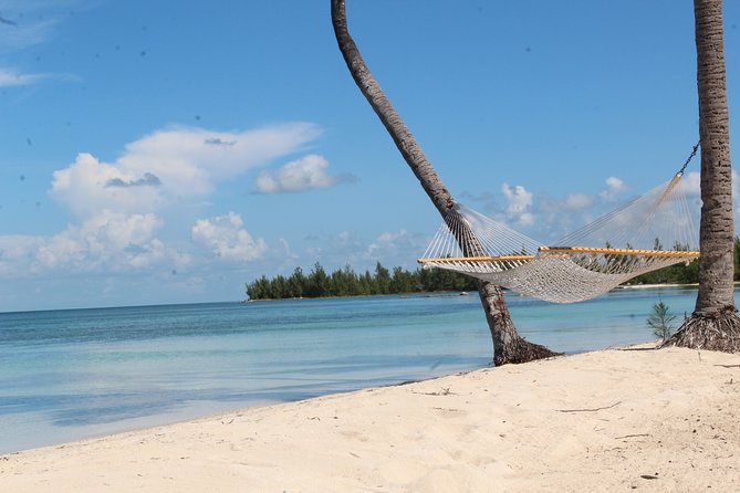 Snorkel/Swim with the Turtles Experience - Paradise Cove and the value of a guided reef stop