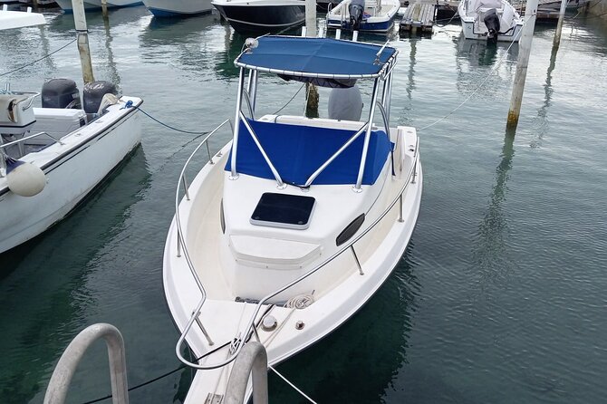 Snorkeling, Swim with Turtles & Beach Day - Sailing Away From Nassau