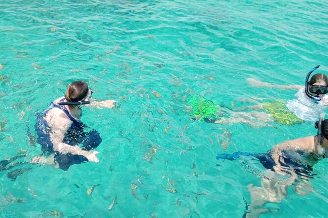 Snorkeling, Swim with Turtles & Beach Day - Rose Island and the Swimming Pigs Option