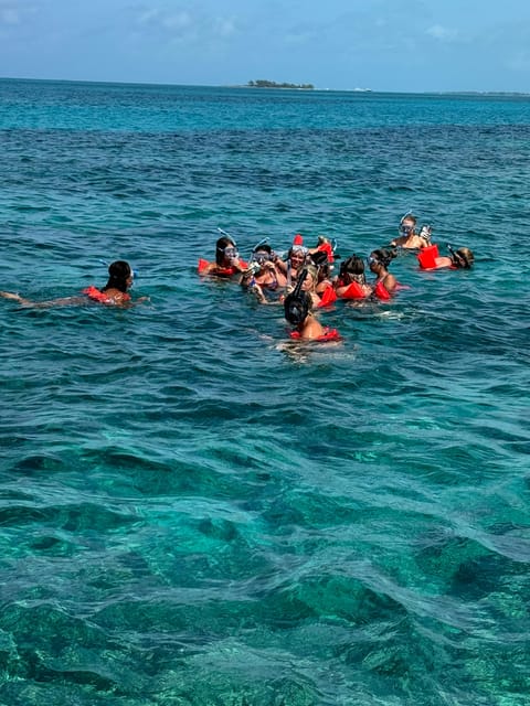 snorkeling, swimming pigs , turtles, rose island - Green Cay and the search for sea turtles