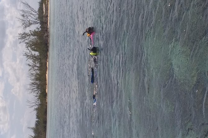 Sweetings Cay Mangrove Kayaking and Turtles - Boarding the boat at McLean’s Town
