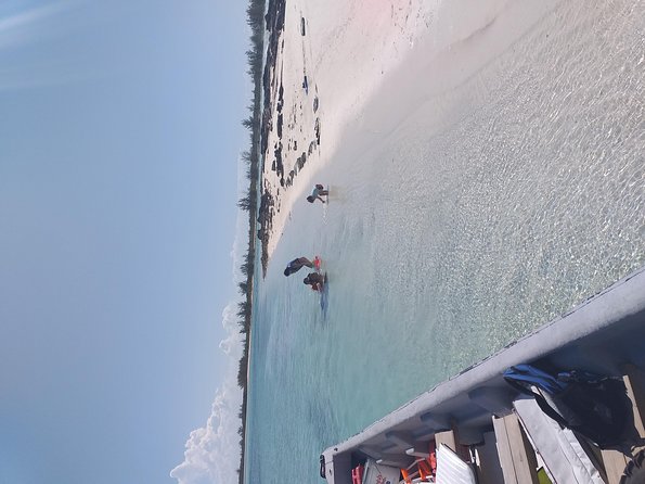 Sweetings Cay Mangrove Kayaking and Turtles - Wildlife sightings are possible, not guaranteed