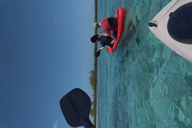 Sweetings Cay Mangrove Kayaking and Turtles - Turtle Park and the search for sea turtles