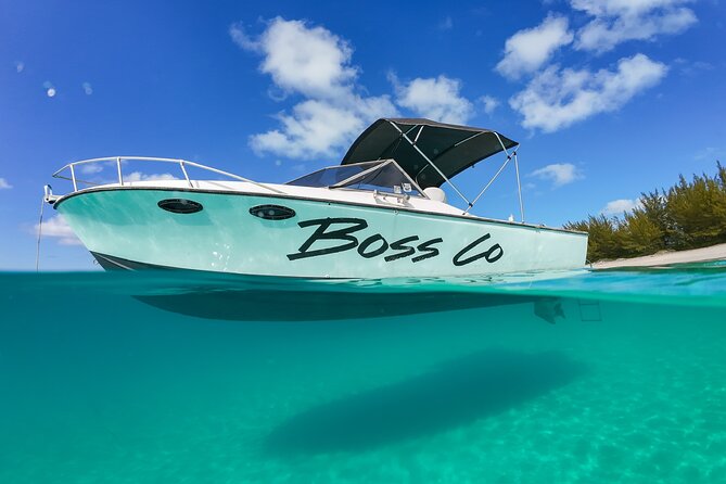 Swim with Famous Pigs at Rose Island - Key Points to Know Before You Book