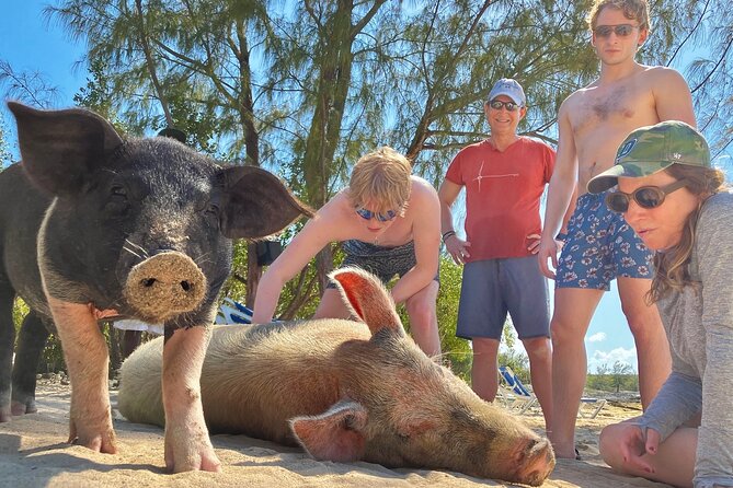 Swim with Famous Pigs at Rose Island - Leaving Nassau With Cruise Ships in View