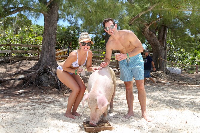 Swim with Famous Pigs at Rose Island - Why the Private Group Format Matters