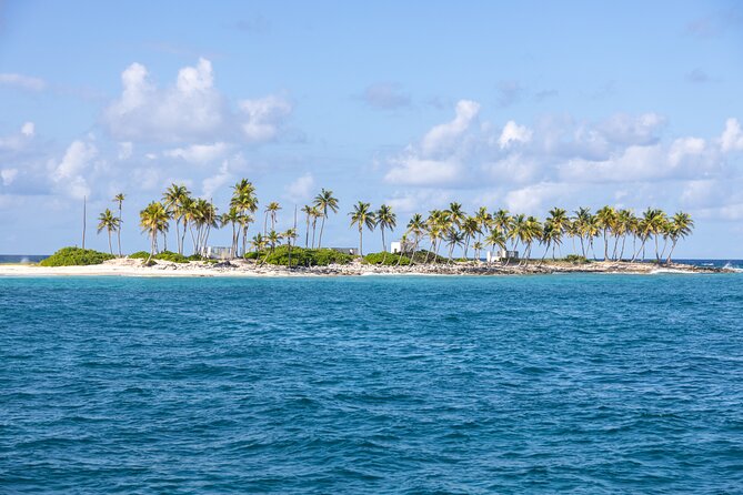 Swim with Famous Pigs at Rose Island - Is $1,050 a Fair Price?
