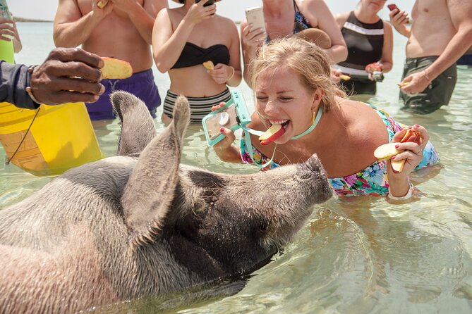Swim with Famous Pigs at Rose Island - What the Boat Ride Adds to the Day