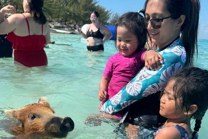 Swim with Pigs and Beach Snorkeling Adventure Rose Island Bahamas - Key points to know before you book