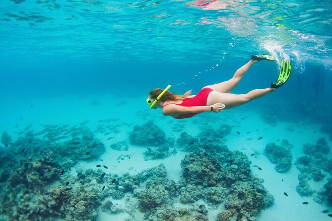 Swim with Pigs and Beach Snorkeling Adventure Rose Island Bahamas - What the three-hour Rose Island stop feels like