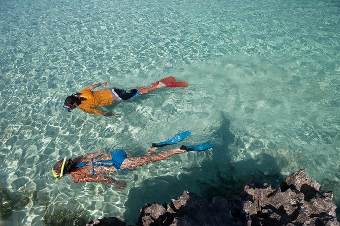 Swim with Pigs and Beach Snorkeling Adventure Rose Island Bahamas - What the $79 price really covers