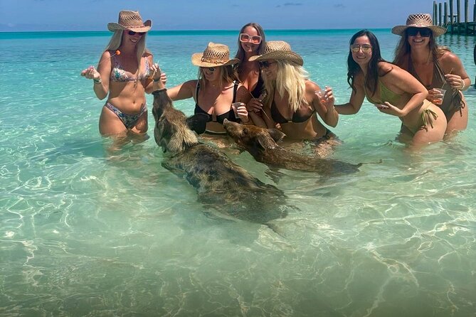 Swim with Pigs and Beach Snorkeling Adventure Rose Island Bahamas - Practical details that can affect your day