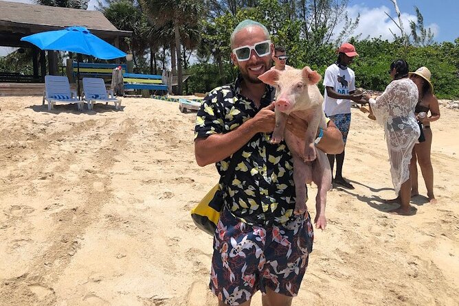 Swim with the Pigs and Explore Caves in Nassau - Two Nassau sights in one half-day