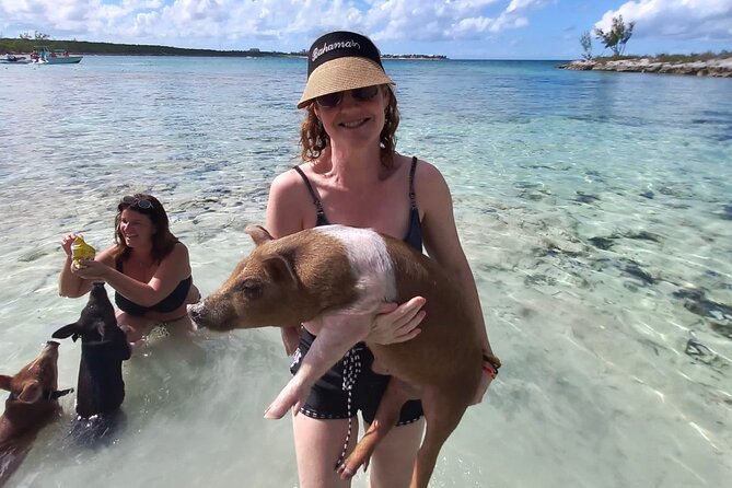 Swim with the Pigs and Explore Caves in Nassau - Safety and cleanliness deserve direct attention