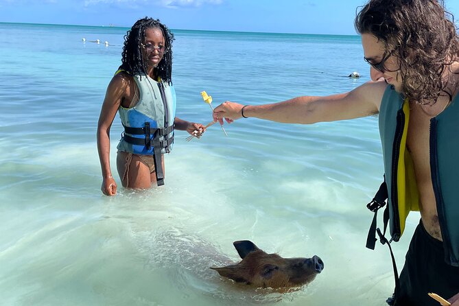 Swim with the Pigs Freeport @Creative Eco Adventures - Getting There From Freeport