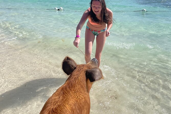 Swim with the Pigs Freeport @Creative Eco Adventures - Who Will Enjoy This Most?