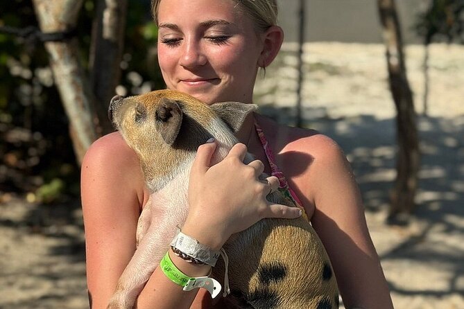 Swim with the Pigs Freeport @Creative Eco Adventures - Timing, Weather, and the Cancellation Risk