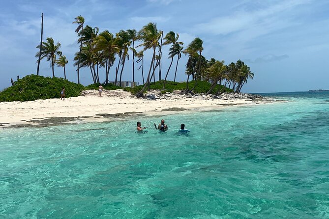 Swim with the Pigs Safari in Bahamas (2hrs) - Who will enjoy this Nassau excursion most?