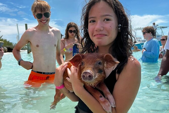 Swim with the Pigs Safari in Bahamas (2hrs) - Booking, weather, and what to pack