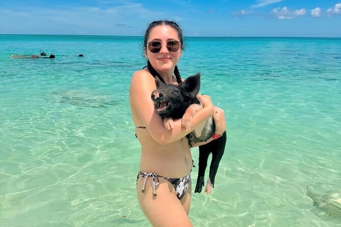 Swimming Pigs and Private Beach Club Escape - From Nassau to Rose Island by boat