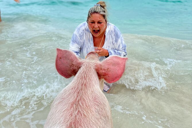 Swimming Pigs and Private Beach Club Escape - Is $149 a fair price?