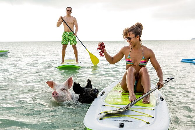 Swimming Pigs & ATV Tour - Key details at a glance
