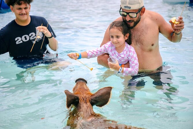 Swimming Pigs Of Rose Island Water Taxi Nassau Bahamas - Key things to know before booking