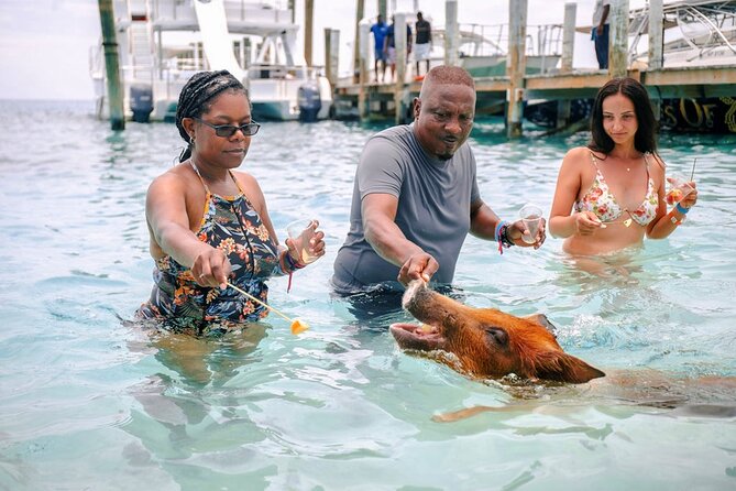 Swimming Pigs Of Rose Island Water Taxi Nassau Bahamas - Arriving at Rose Island’s beach resort