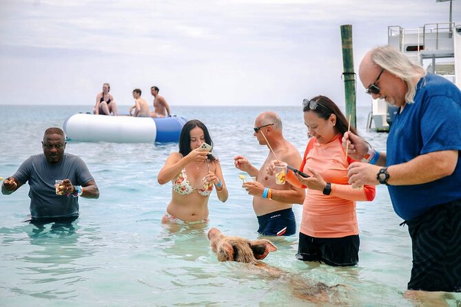 Swimming Pigs Of Rose Island Water Taxi Nassau Bahamas - Meeting the Rose Island pigs