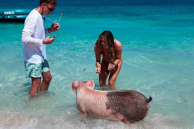 Swimming Pigs, Snorkeling and Beach Tour in Nassau Bahamas - Cruising past Atlantis and Nassau’s waterfront