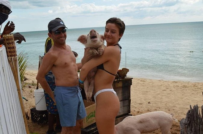 Swimming Pigs & Tour with Transportation to Rose Island - Swimming with the pigs