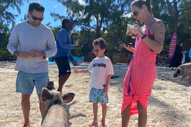 Swimming Pigs, Turtles & Reef Snorkel in Nassau-Champion Tours - Snorkeling over reefs and swimming with fish