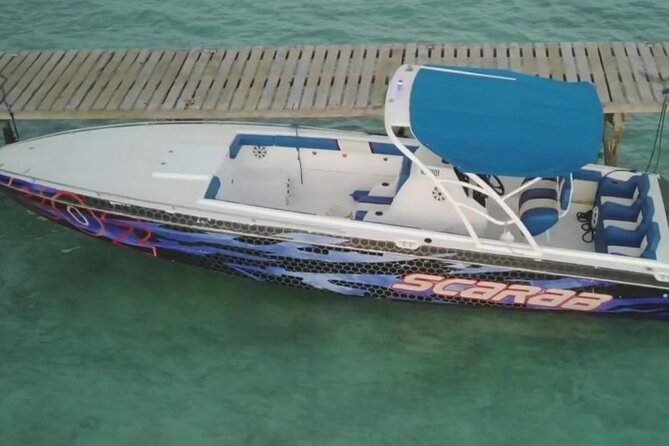 Swimming Pigs, Turtles & Reef Snorkel in Nassau-Champion Tours - Lunch at Antiki Floating Bar