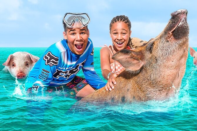 Swimming Pigs, Turtles & Reef Snorkel in Nassau-Champion Tours - Rose Island, Pearl Island and Green Cay by boat