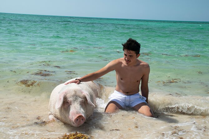 Swimming with Pigs in Nassau, Transportation Included - Group size, organization, and the human side of the tour
