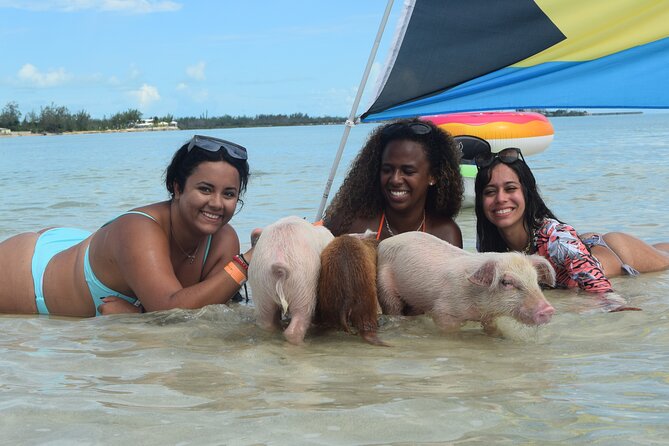 Swimming with Pigs in Nassau, Transportation Included - Is this a good Nassau excursion for families?