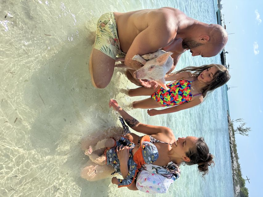 Swimming with the pigs, turtles and reef snorkeling!!! - A Four-Hour Boat Trip Built Around Nassau’s Best Water Stops