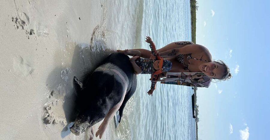 Swimming with the pigs, turtles and reef snorkeling!!! - Starting at One of Nassau’s Largest Reefs