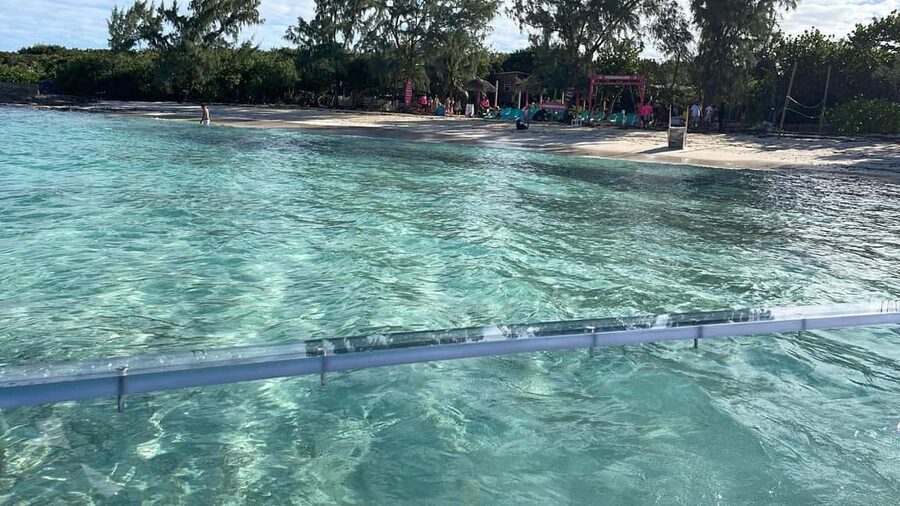 The Clear Boat Experience Bahamas drinks and snacks included - Looking through the clear boat