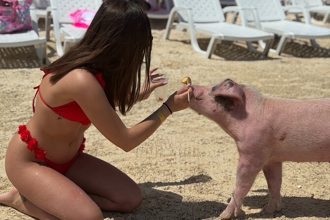The Ultimate Bahamian Beach Day: Pigs, Jet Ski, Snorkeling & More - Lunch, drinks, and the free photo package