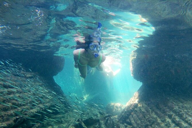 Top 4 Snorkeling Adventures in Bimini - What the small group means in practice