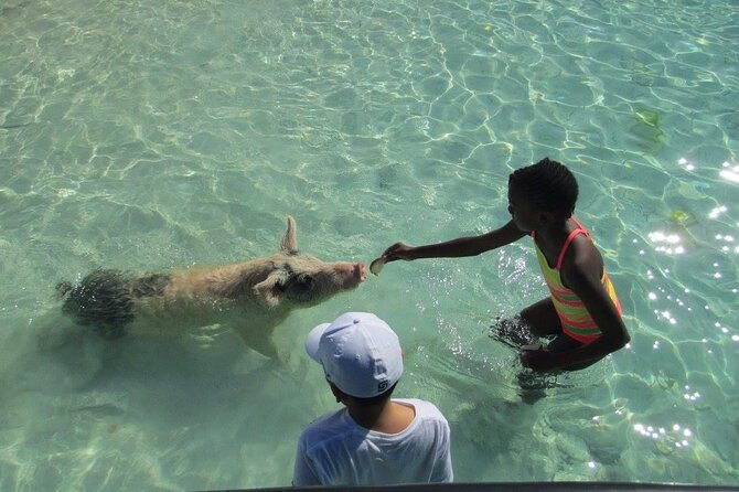 Turquoise Experience -Exuma Cays -Southern Exuma Private Charter - The Pablo Escobar Sunken Plane