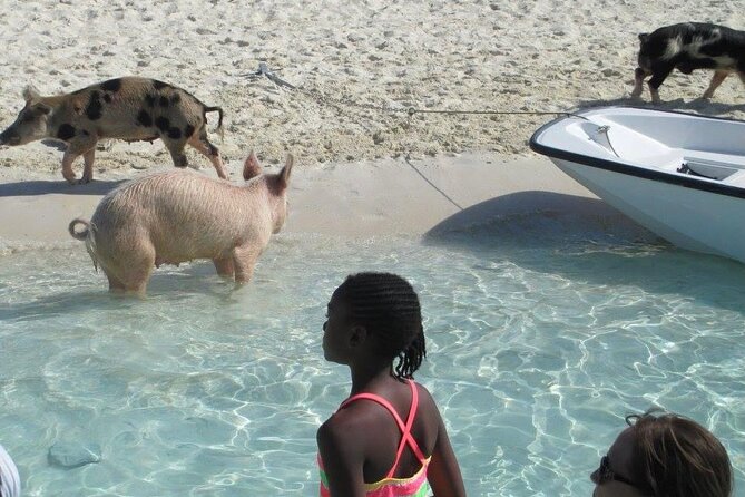 Turquoise Experience -Exuma Cays -Southern Exuma Private Charter - A Quiet Finish at the Sandbar