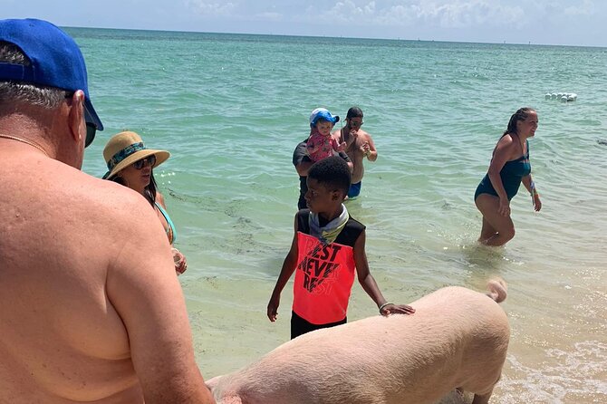 Ultimate SeaXscape Pigs/Turtles/Snorkel/Lunch/Drinks/PU/DO - A brief look at Gilligan’s Island